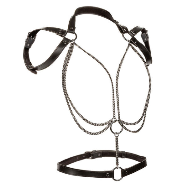 calexotics---euphoria-arnÉs-estilo-cabestro-con-mÚltiples-cadenas-premium-1