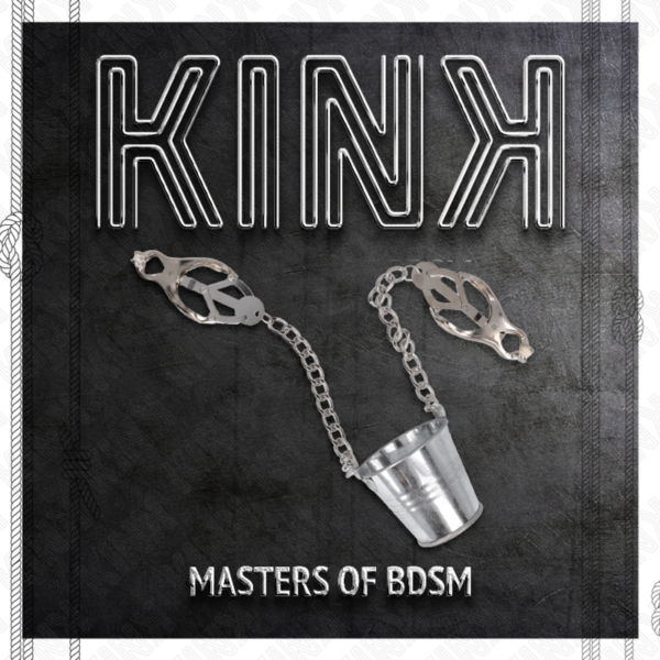 kink---pinzas-para-pezones-con-cubo-plateado-4