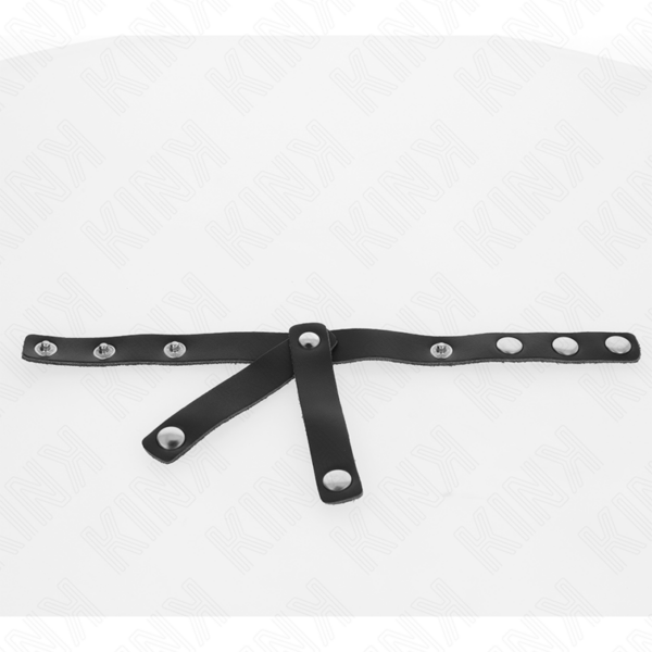 kink---divisor-de-bolas-cuero-ajustable-4